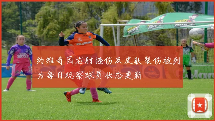 约维奇因右肘挫伤及皮肤裂伤被列为每日观察球员状态更新