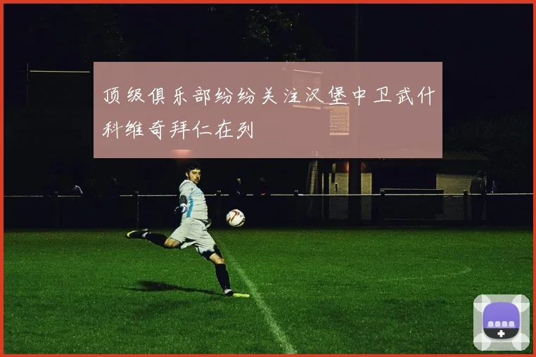 顶级俱乐部纷纷关注汉堡中卫武什科维奇拜仁在列