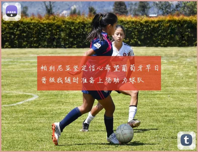 帕利尼亚坚定信心希望葡萄牙早日晋级我随时准备上场助力球队